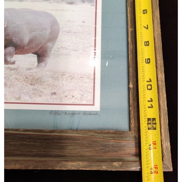 Hippopotamus Photography Lake Manyara National Park Tanzania Africa Lee-Margaret - Picture 14 of 15